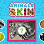 Animals Skin